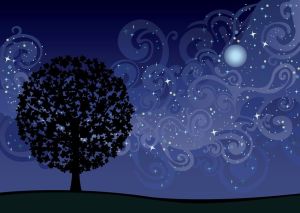 Night Sky illustration